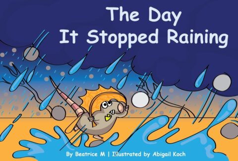 The Day It Stopped Raining book cover
