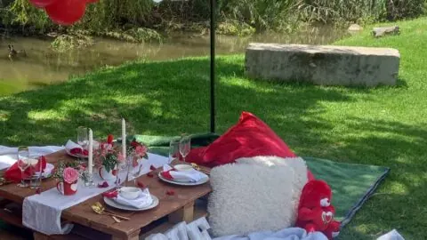 Styled outdoor party table