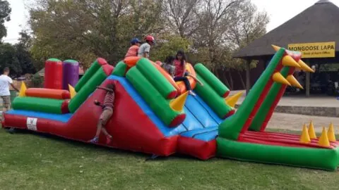 Children playing on a colourful Crocodile inflatable
